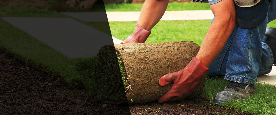 Ewa Beach Landscapers